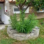 度假居 A Modern With Big Garden