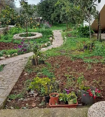 Hébergement de vacances A Modern With Big Garden Trápeza