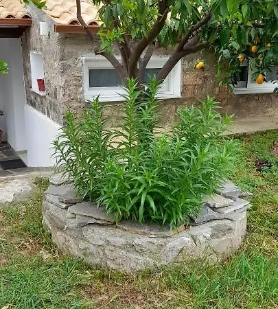 Hébergement de vacances A Modern With Big Garden