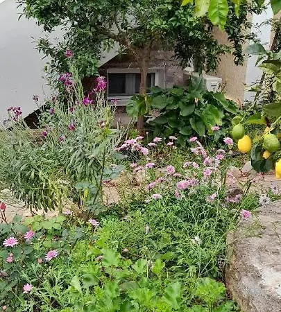 Vakantiehuis A Modern With Big Garden *