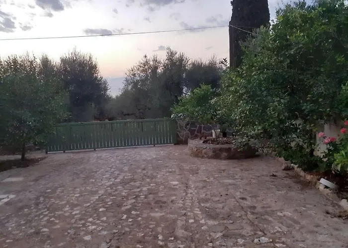 A Modern With Big Garden *