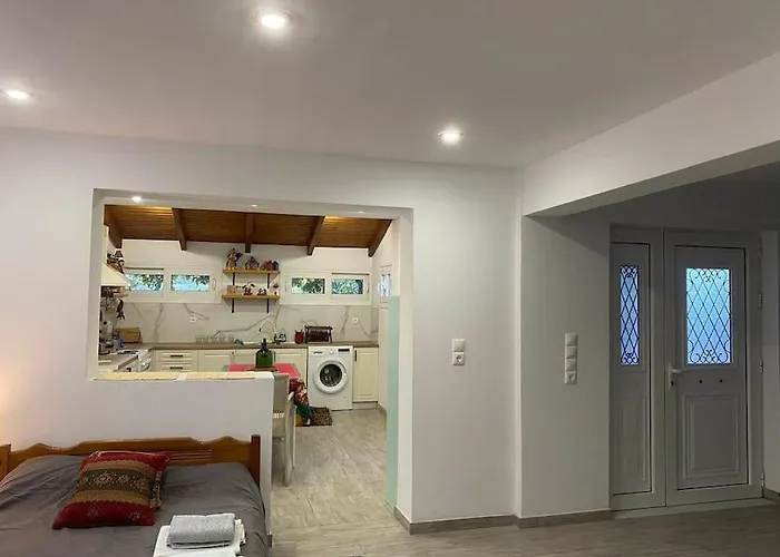 A Modern With Big Garden 펜션