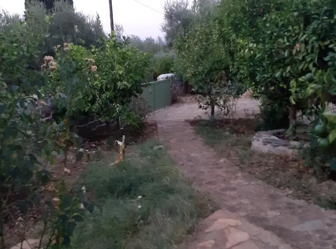 A Modern With Big Garden Τράπεζα