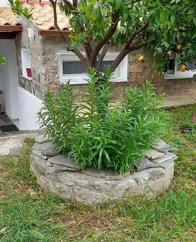 펜션 A Modern With Big Garden