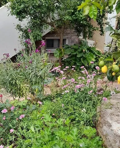 펜션 A Modern With Big Garden *