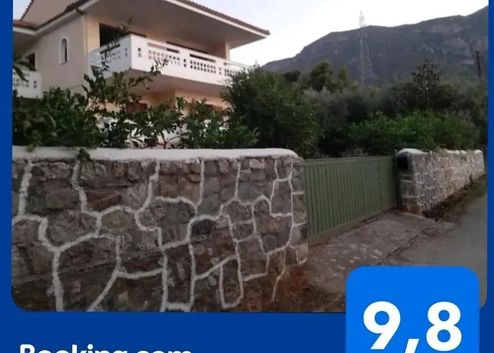 A Modern With Big Garden *