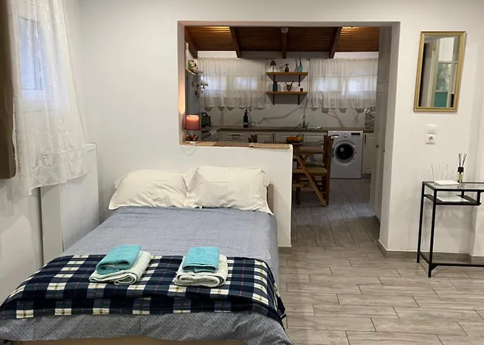 度假居 A Modern With Big Garden *